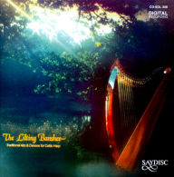 Title: The Lilting Banshee: Traditional Airs & Dances for Celtic Harp, Artist: The Lilting Banshee