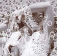 Title: Vespertine, Artist: Bjoerk