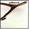 Wishbone Ash