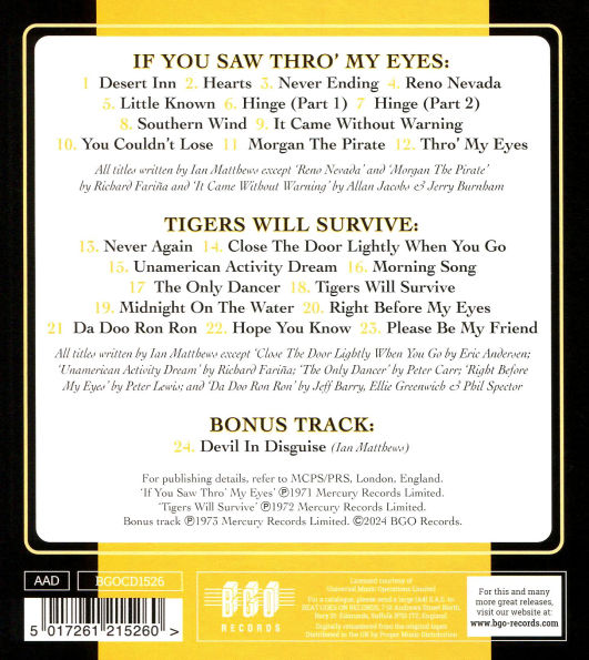 If You Saw Thro' My Eyes