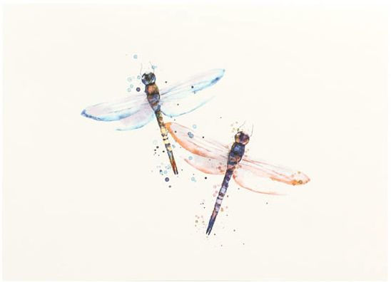 Correspondence Boxed Notecards Watercolor Dragonflies
