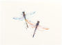 Alternative view 3 of Correspondence Boxed Notecards Watercolor Dragonflies