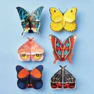 Title: Moth & Butterfly Models Craft Kit