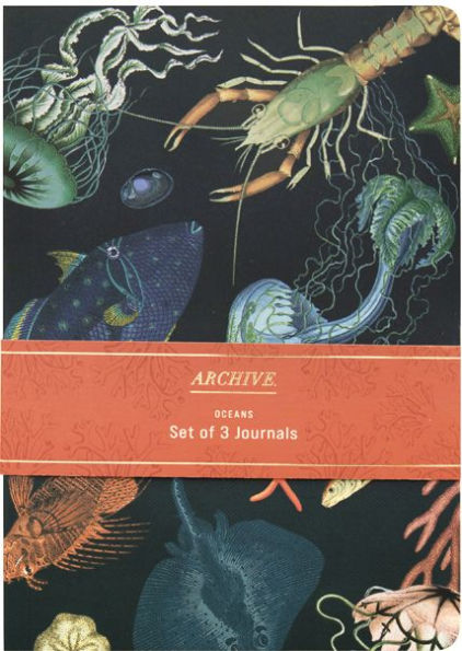 Archive Oceans Set of 3 B6 Journals