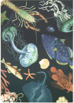 Alternative view 2 of Archive Oceans Set of 3 B6 Journals