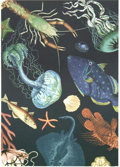 Archive Oceans Set of 3 B6 Journals