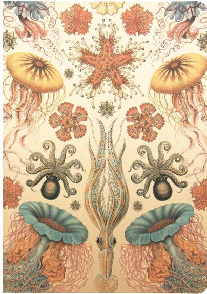 Archive Oceans Set of 3 B6 Journals