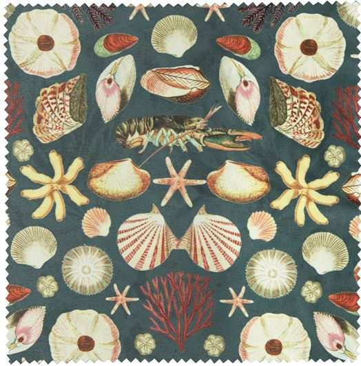 Archive Oceans Shell Glasses Case