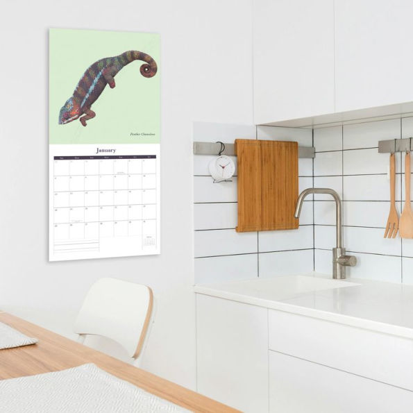 2026 Ben Rothery SQ Calendar