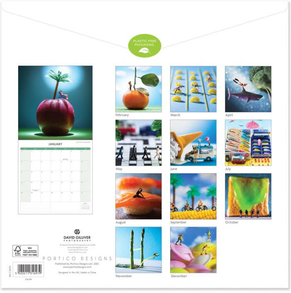 2026 David Gilliver - Small World - SQ Calendar