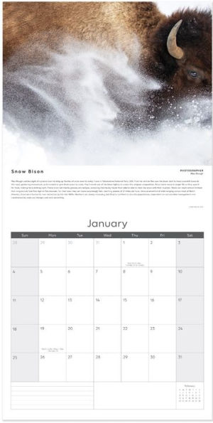 2026 Wildlife Photographer of the Year - SQ Calendar