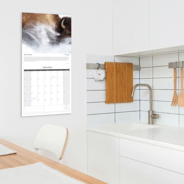 2026 Wildlife Photographer of the Year - SQ Calendar