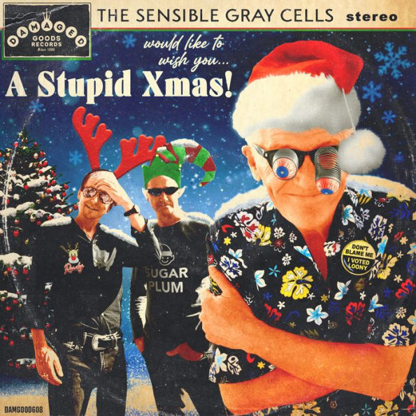 A Stupid Xmas!