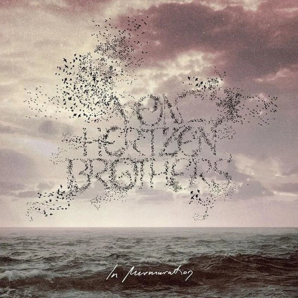 Murmuration