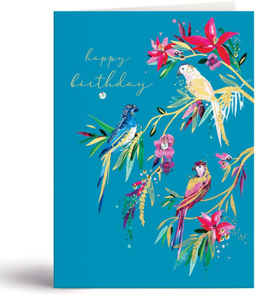 BDAY Birthday Parrots