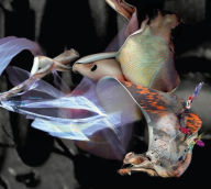 Title: Dystopia, Artist: Parallel Worlds