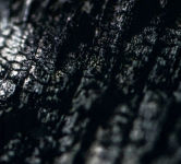 Alternative view 1 of Plector