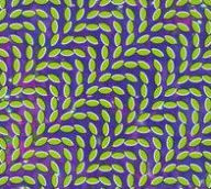 Title: Merriweather Post Pavilion, Artist: Animal Collective