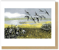 Oystercatcher Blank Greeting Card