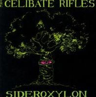 Sideroxylon