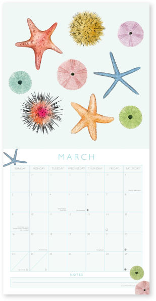 2025 UNDER THE SEA WALL CALENDAR