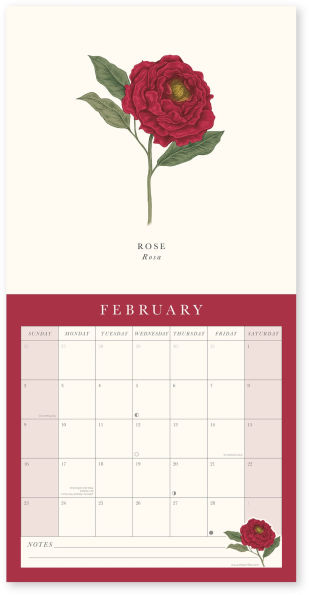 2025 FLORA BOTANICA WALL CALENDAR