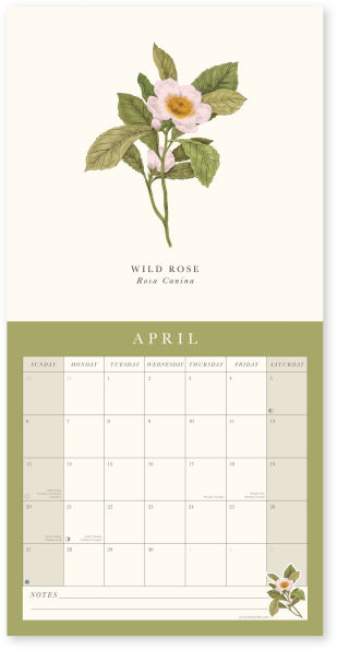 2025 FLORA BOTANICA WALL CALENDAR