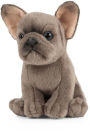 Alternative view 2 of FRENCH BULLDOG PUPPY