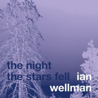 Title: The Night the Stars Fell, Artist: Ian Wellman