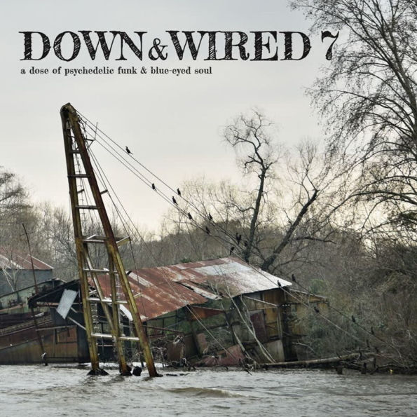 Down & Wired, Vol. 7
