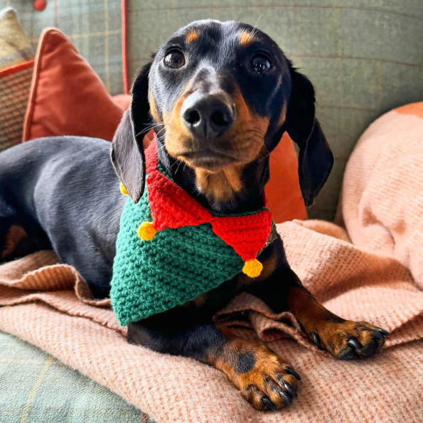 Christmas Pet Bandana