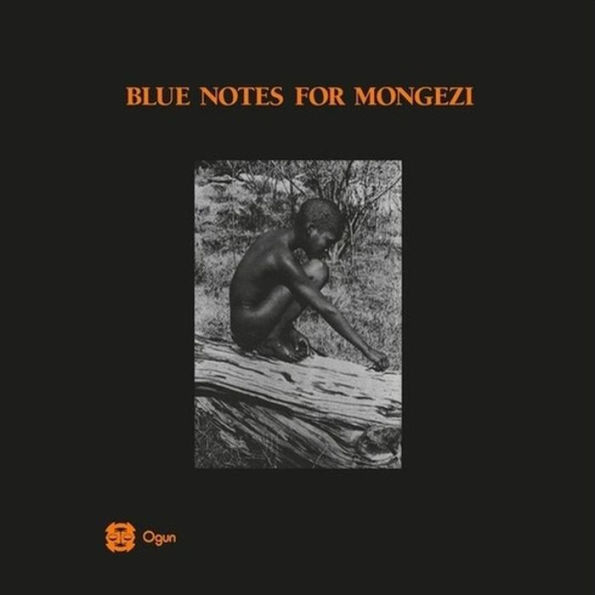 Blue Notes for Mongezi