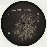 Title: What You Need, Artist: Adam Beyer