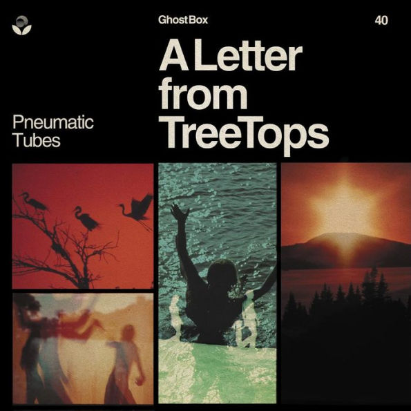 Letter From Treetops