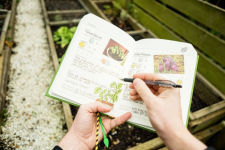 Alternative view 6 of The Gardening Handbook