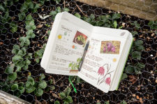 Alternative view 7 of The Gardening Handbook