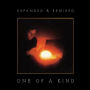 One of a Kind [Expanded & Remixed Edition]