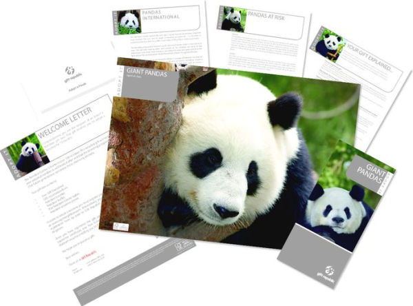 Adopt a Panda by Gift Republic