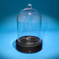 Bluetooth Speakers