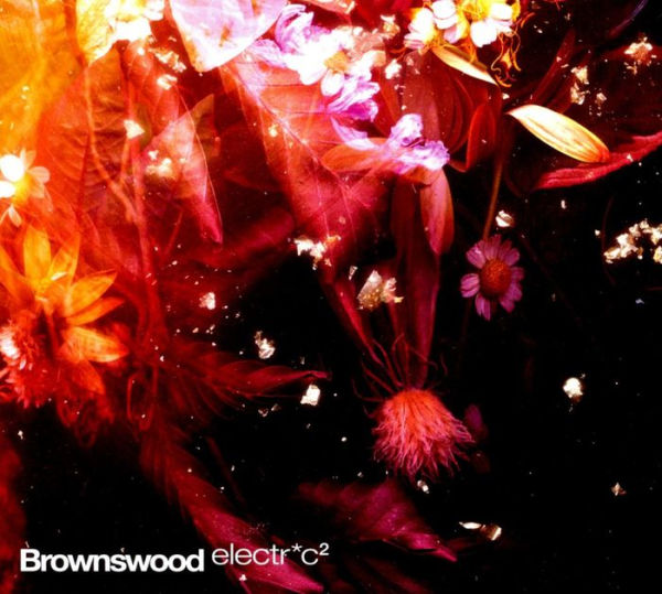 Brownswood Electr*c 2