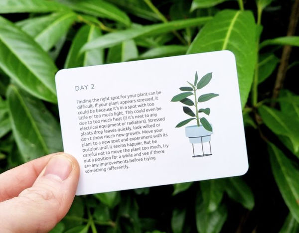 Become an Expert in Plants in 90 Days