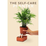 Alternative view 10 of Self Care Planter