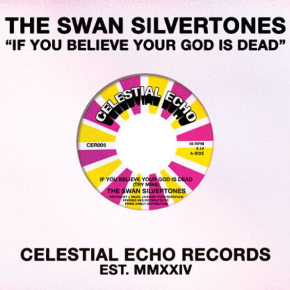 If You Believe Your God Is Dead