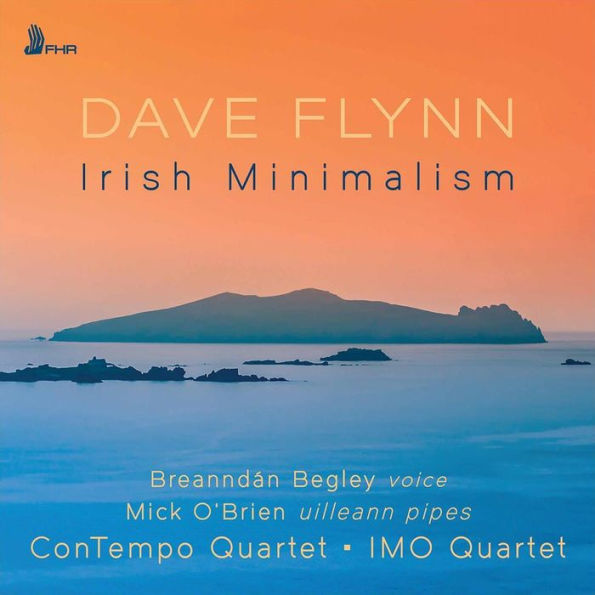 Dave Flynn: Irish Minimalism