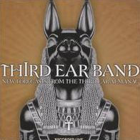 New Forecasts from the Third Ear Almanac