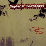Pearls Before Swine/Ice Cream for Crows