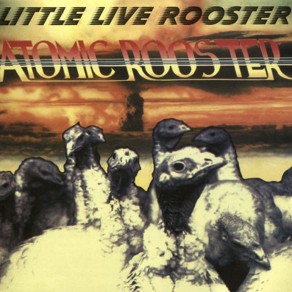 Little Live Rooster