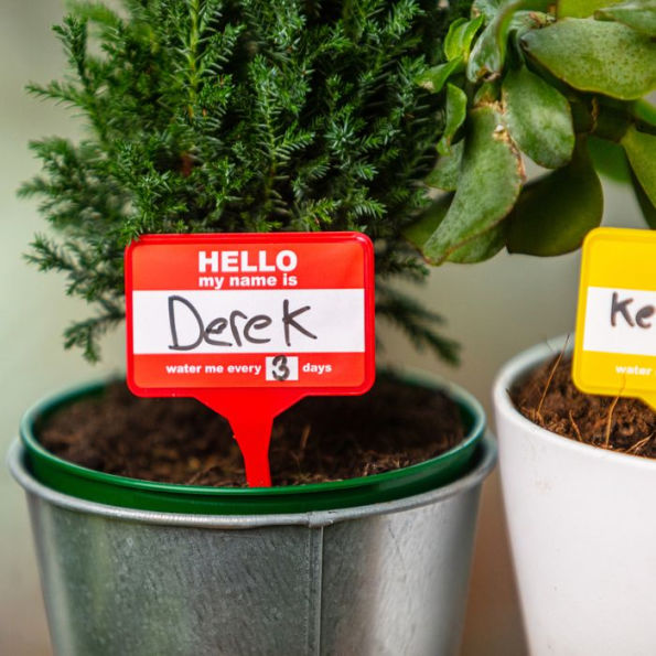 Plant Name Badges