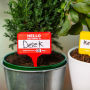 Alternative view 6 of Plant Name Badges