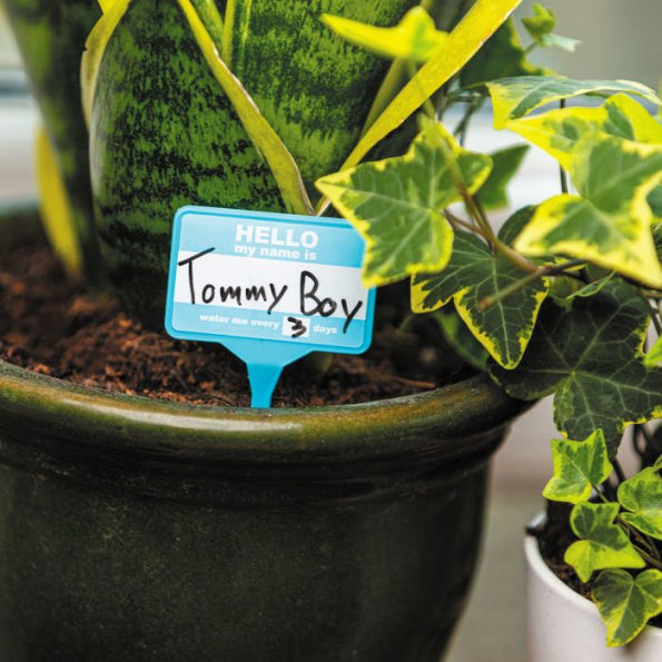 Plant Name Badges